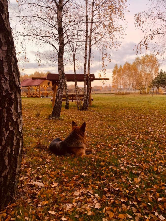 Rajskie Siedlisko Smykow Buitenkant foto